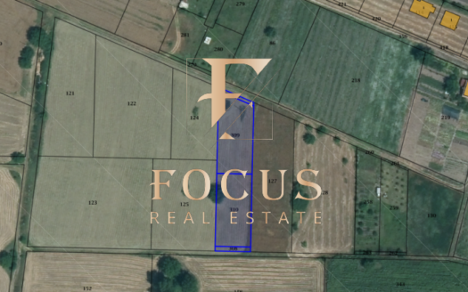 17012486541211 partsel yagodovo25893