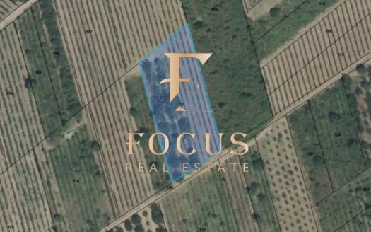 1751368547560 s brestnik zemedelska zemya19825