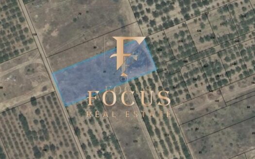 17513719603648 s brestnik zemedelska zemya2400545246