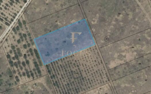 17513722053712 prodava zemedelska zemya s brestnik