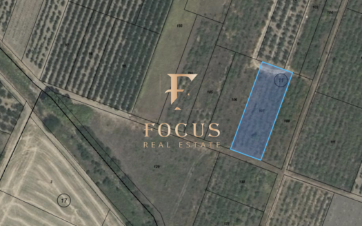 17757242719481 s brestnik zemedelska zemya16729